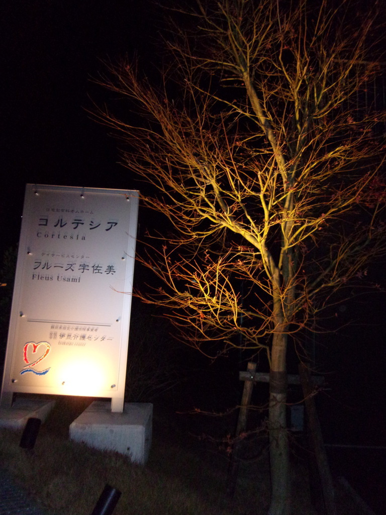 元日のシンボルツリー